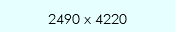 2490 x 4220